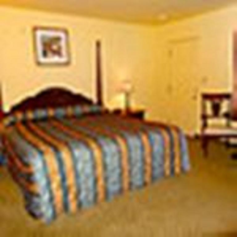 The Whispering Pines Motel- Whitestone White Stone Dış mekan fotoğraf